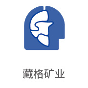 W66利来·(中国区)集团官方网站合作伙伴：藏格矿业