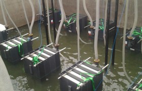 发电厂垃圾渗滤液水质特点是什么？