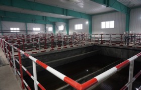 豆制品污水水质特征有什么？处理难点和工艺有哪些？