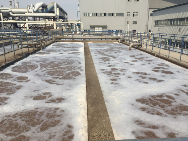 除磷剂是什么药剂？水里的总磷来自哪里？
